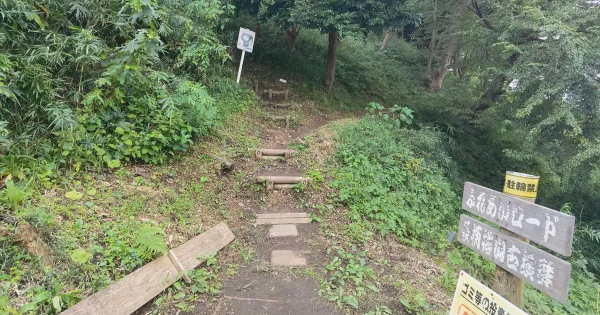 長柄古墳1号の丸太の階段の山道と道しるべ